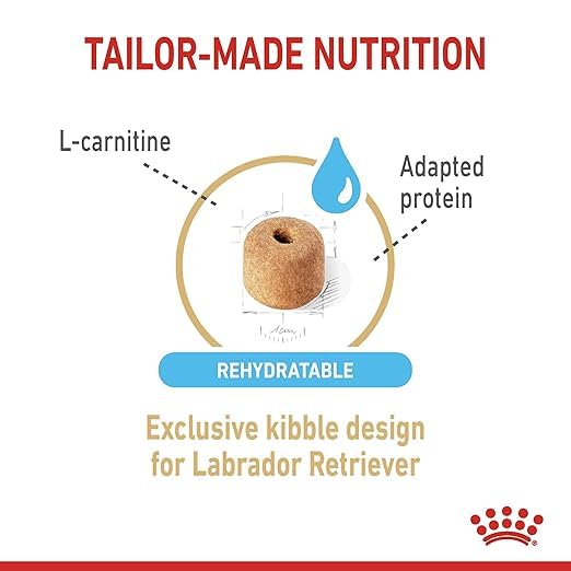 Royal Canin Labrador Retriever 5+ Dry Food For Dog, 3 Kg - Image 3