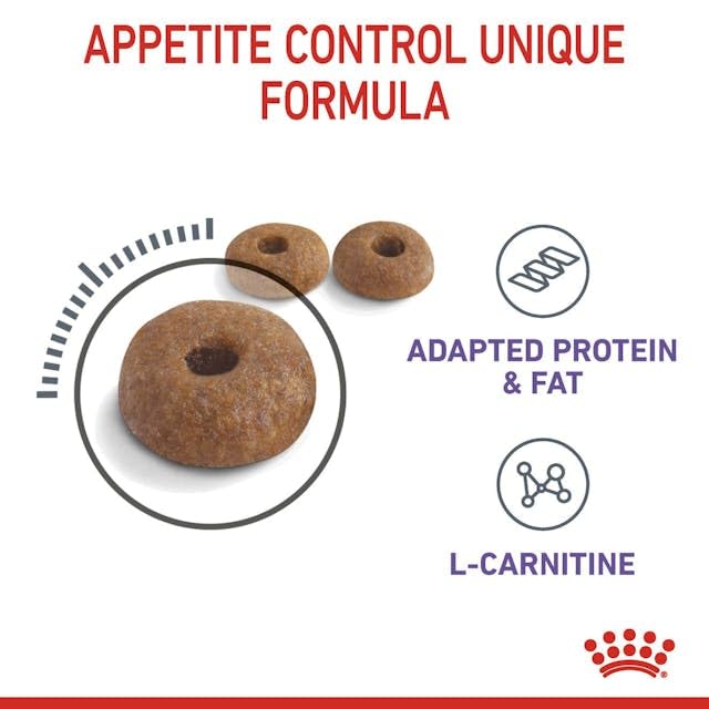 Royal Canin Second Age Kitten Dry Food - Image 5