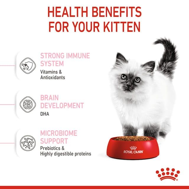 Royal Canin Second Age Kitten Dry Food - Image 8