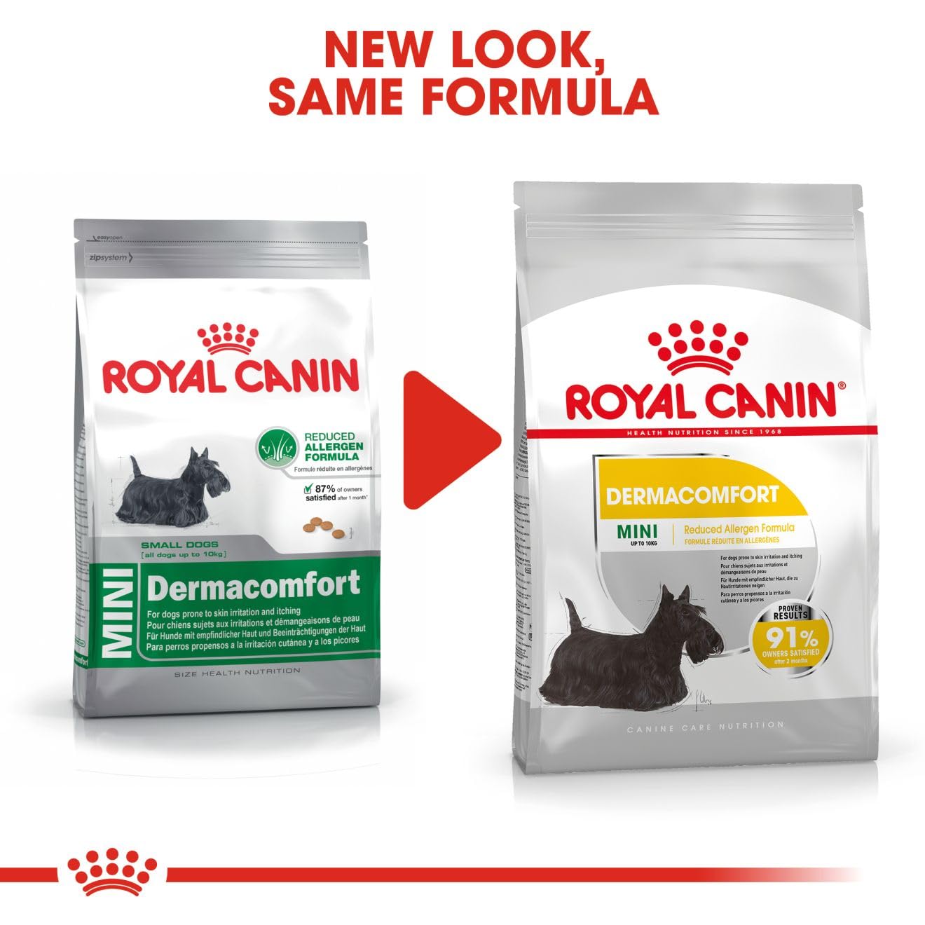 Royal Canin Mini Dermacomfort Dry Food For Dog - Image 2