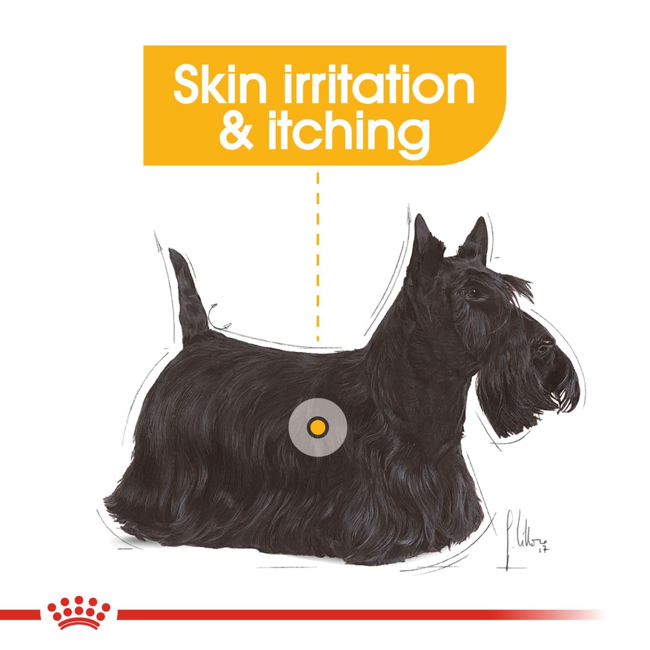 Royal Canin Mini Dermacomfort Dry Food For Dog - Image 4
