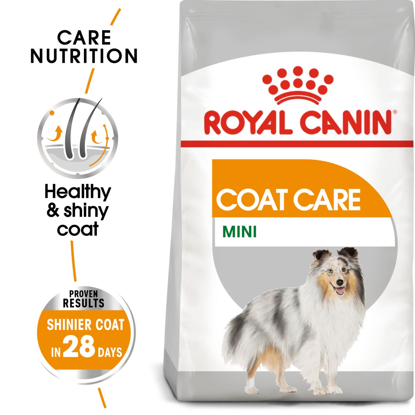 Royal Canin Mini Coat Care Dry Dog Food, 3 kg - Image 4