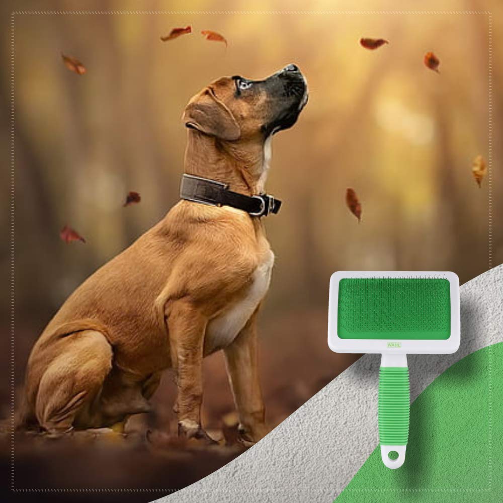 Wahl Slicker Pet Brush, Extra Large - Image 7