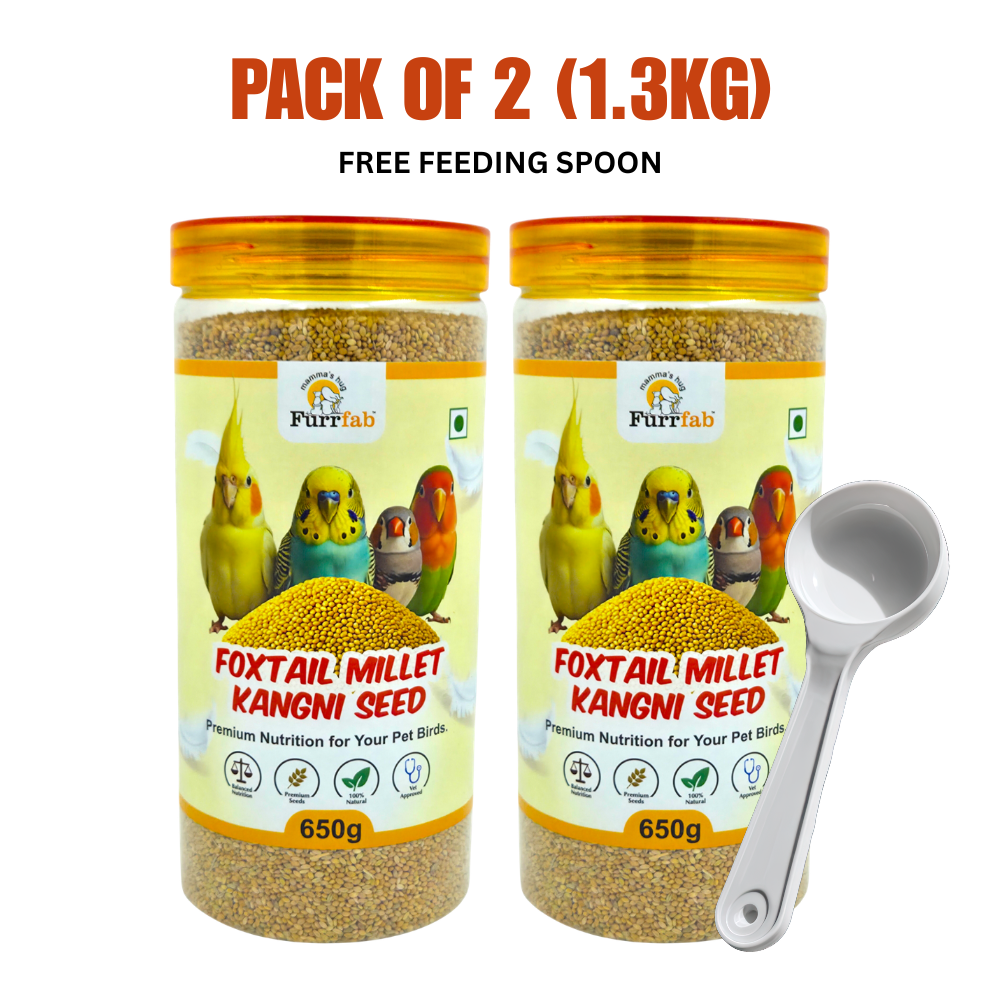 Furrfab Foxtail Millet (Kangni Seed), 650g (Pack of 2) 1.3 kg