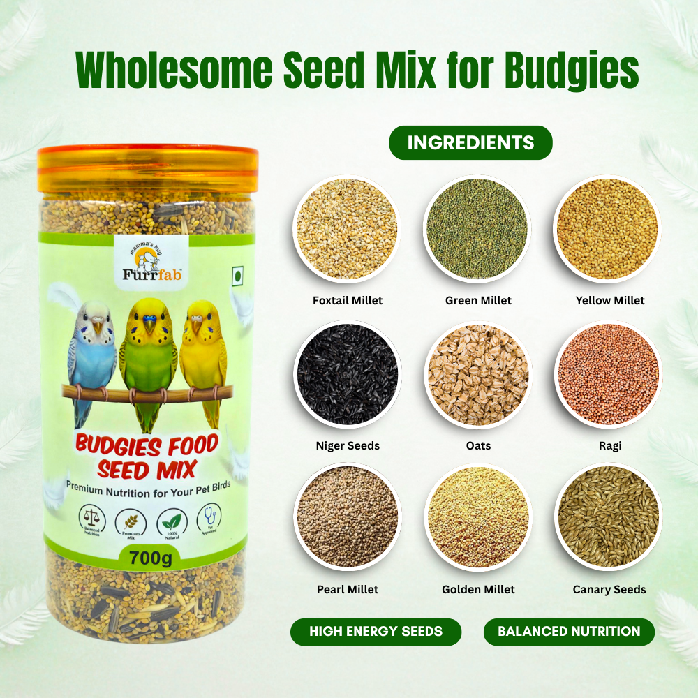Furrfab Budgies Food Seed Mix Pack of 2 (700g Each | 1.4kg Total) - Image 2